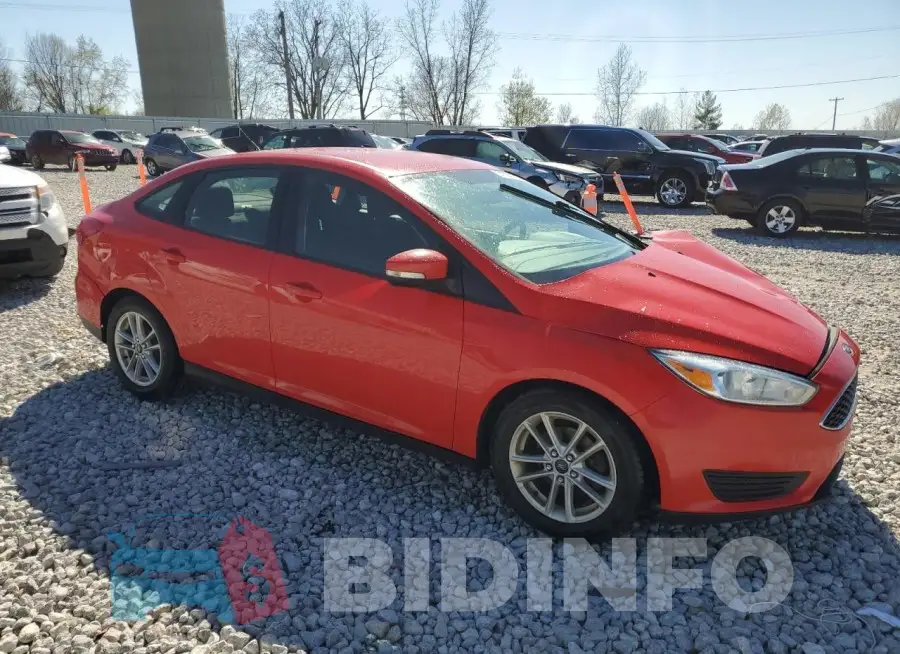 1FADP3F24HL291304 Photo# 4