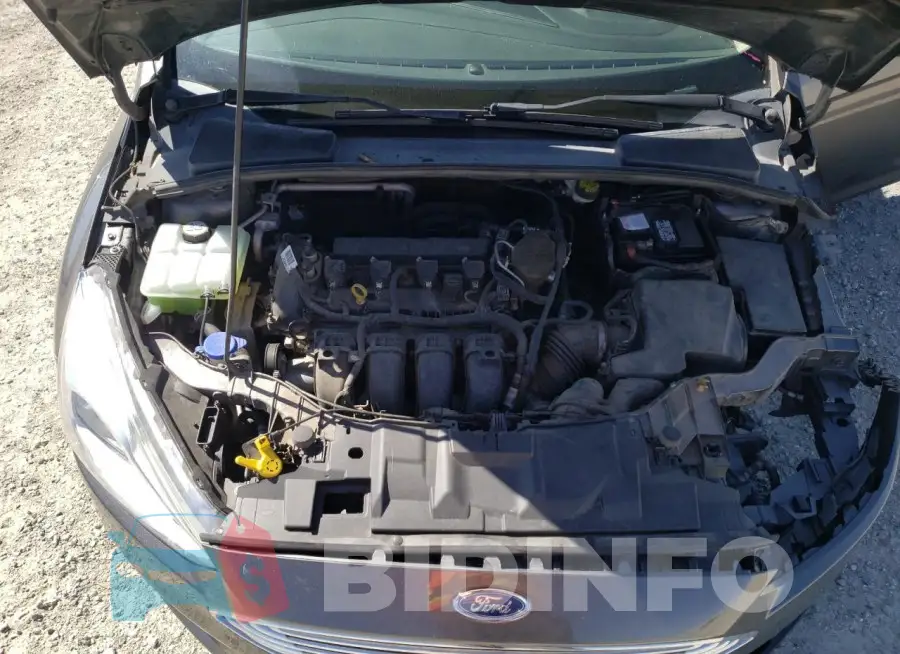 1FADP3N22GL255952 Photo# 11