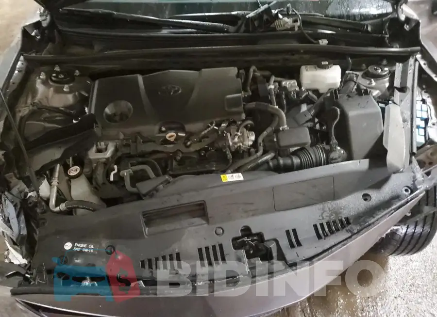 4T1C31AK5RU625442 Photo# 11