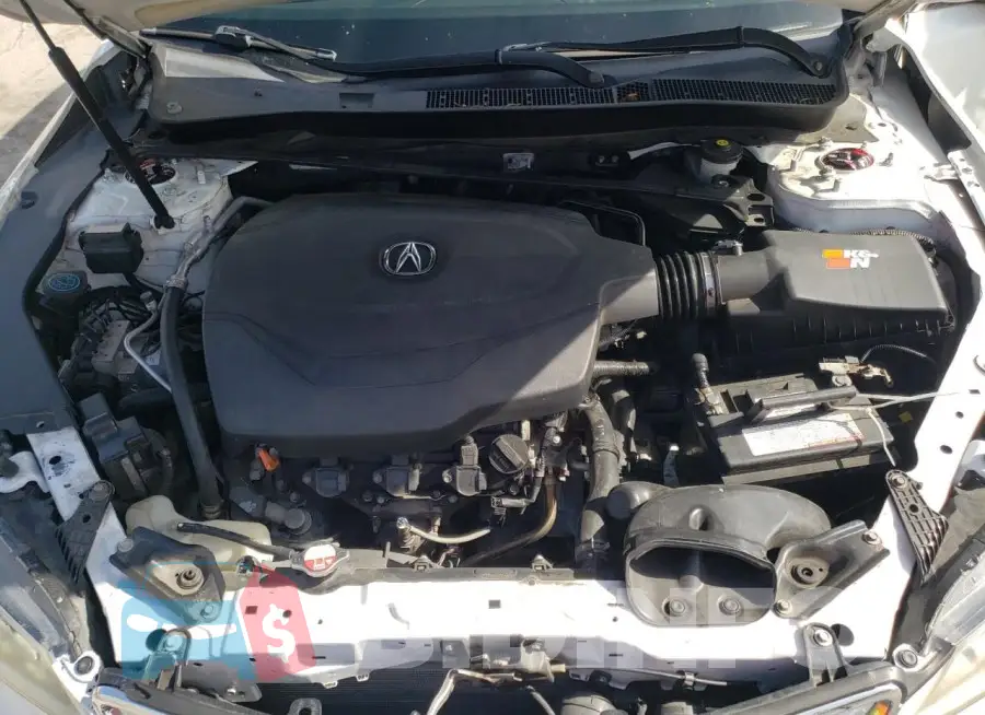 19UUB2F37FA020534 Photo# 11