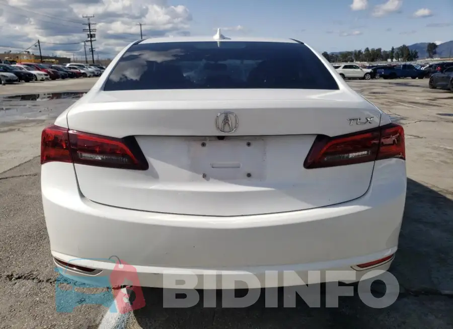 19UUB2F37FA020534 Photo# 6