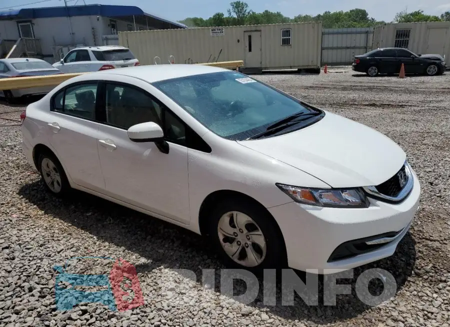 19XFB2F55FE105006 Photo# 4