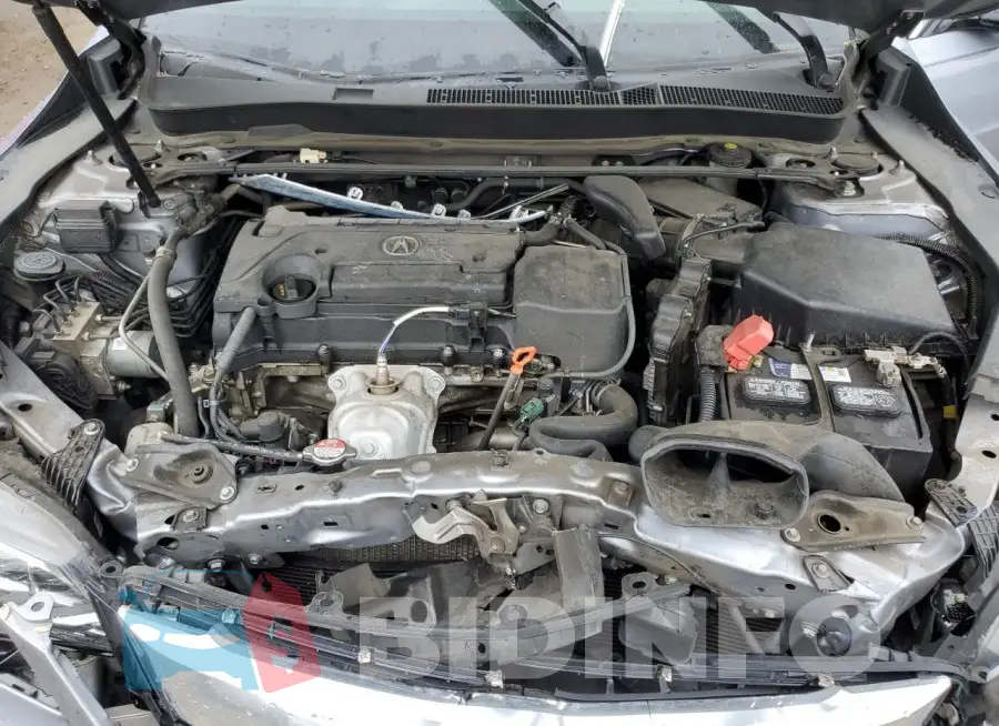 19UUB1F33FA005734 Photo# 11