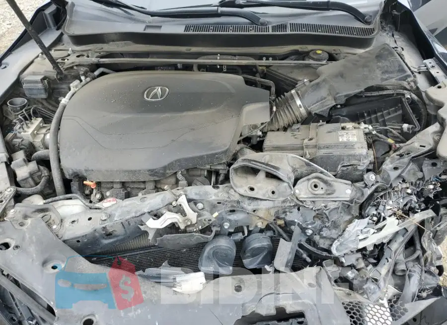 19UUB2F59GA010462 Photo# 11