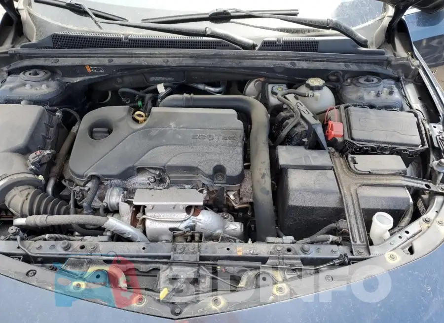 1G1ZD5ST5MF019901 Photo# 11
