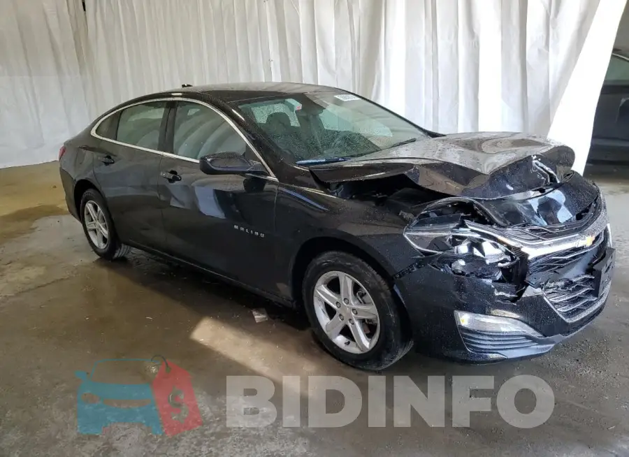 1G1ZD5ST5RF204151 Photo# 4