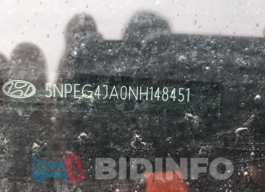 5NPEG4JA0NH148451 Photo# 13