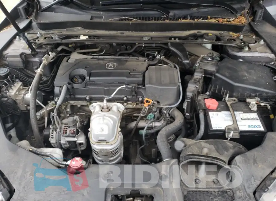 19UUB1F31JA007183 Photo# 11
