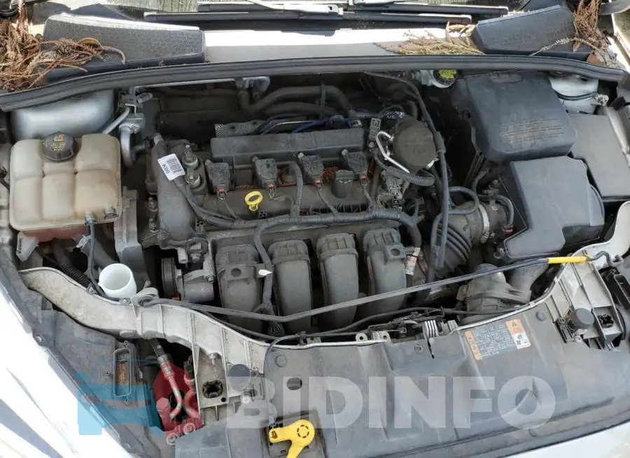 1FADP3F21FL201801 Photo# 11