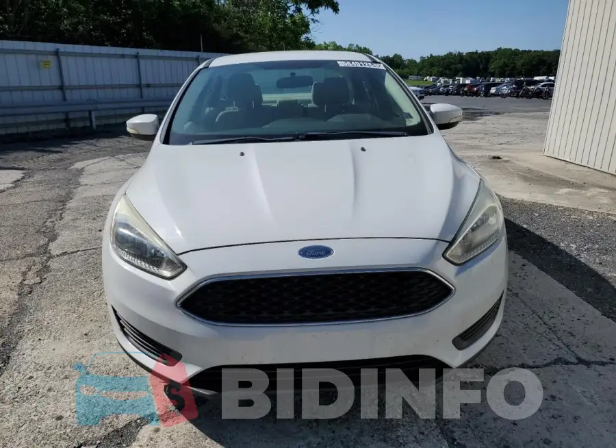 1FADP3F2XGL294075 Photo# 5