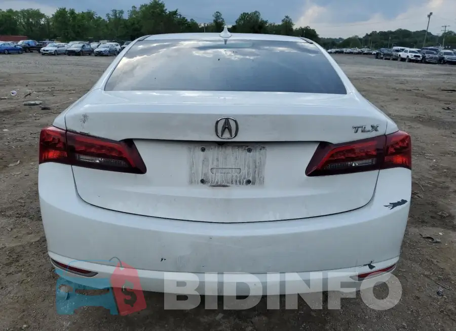 19UUB1F50FA010200 Photo# 6