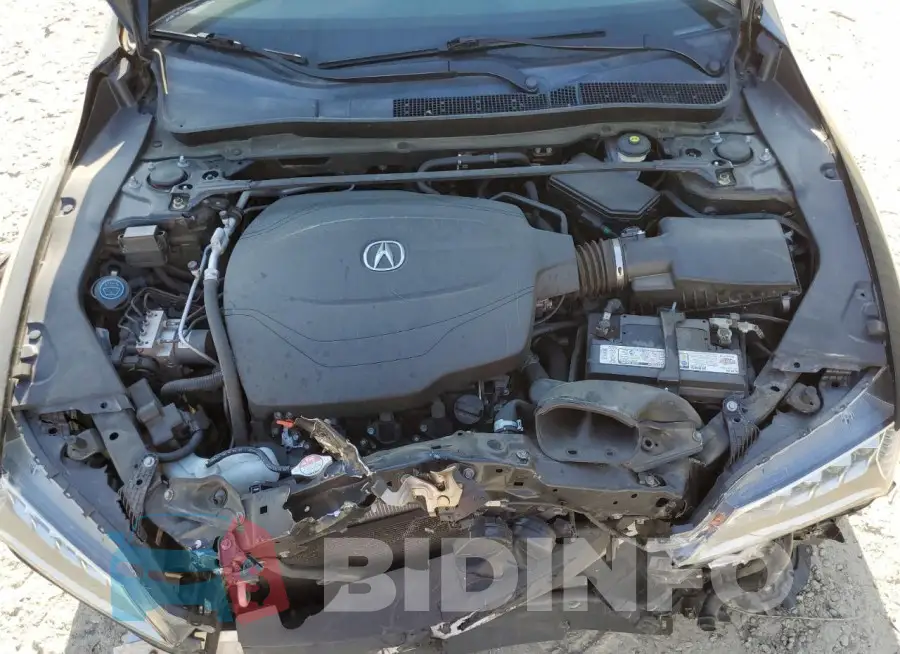 19UUB2F57GA007446 Photo# 11
