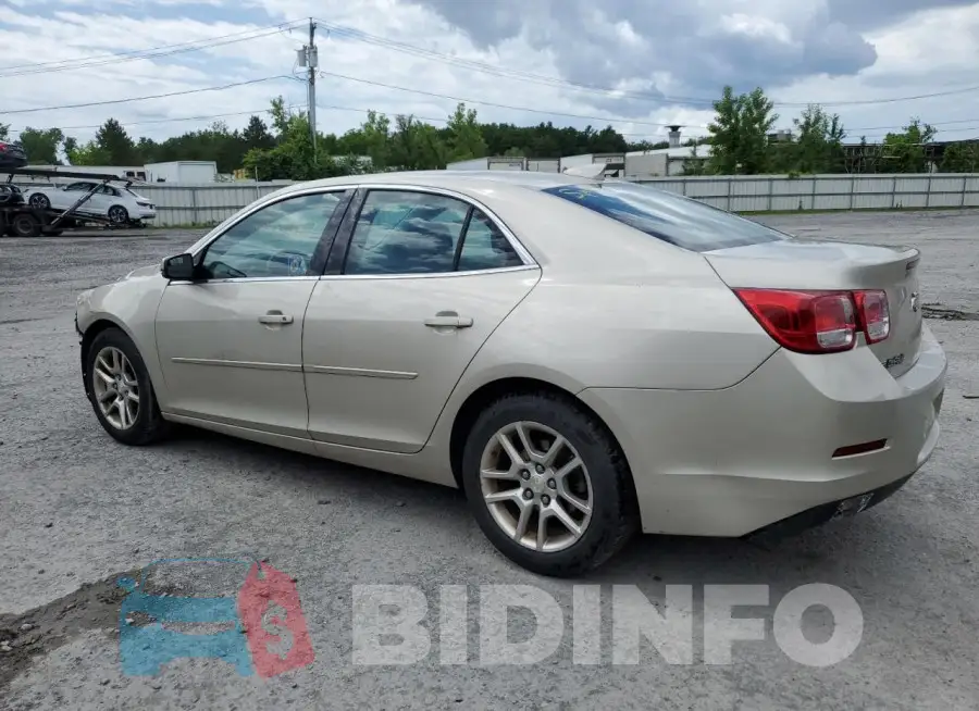 1G11C5SL6FF110629 Photo# 2