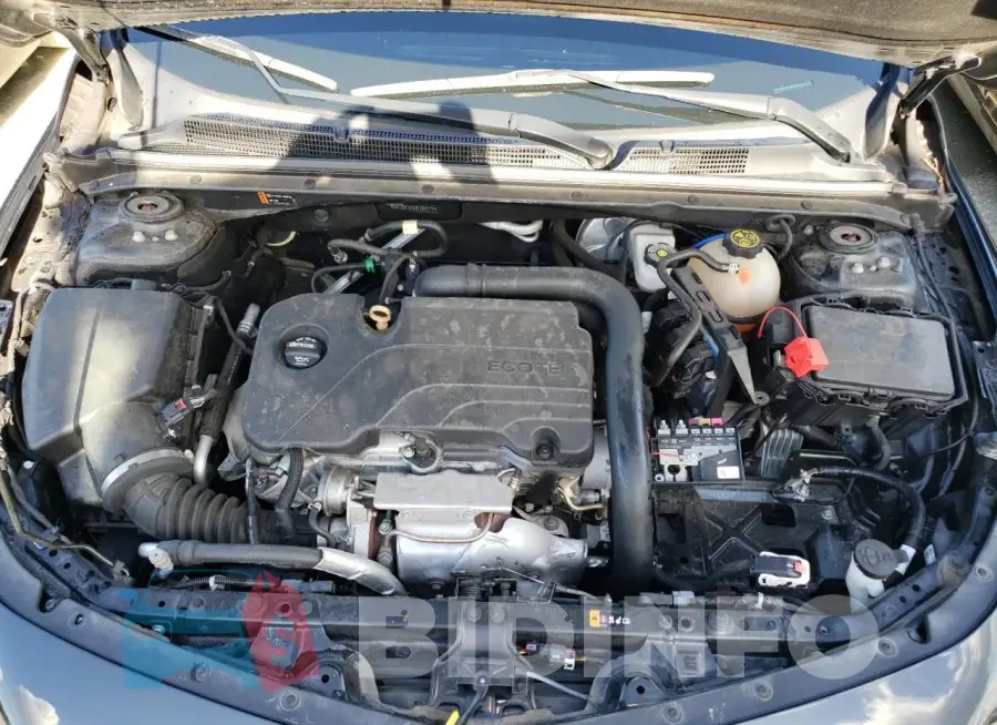 1G1ZD5ST2JF182579 Photo# 11