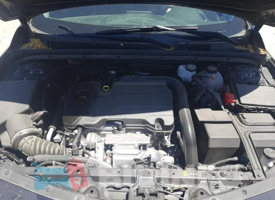 1G1ZD5ST4PF165081 Photo# 11
