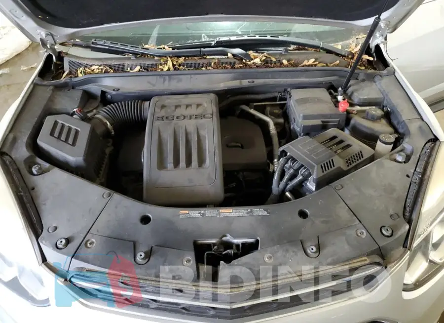 2GNFLFEK5G6132453 Photo# 12