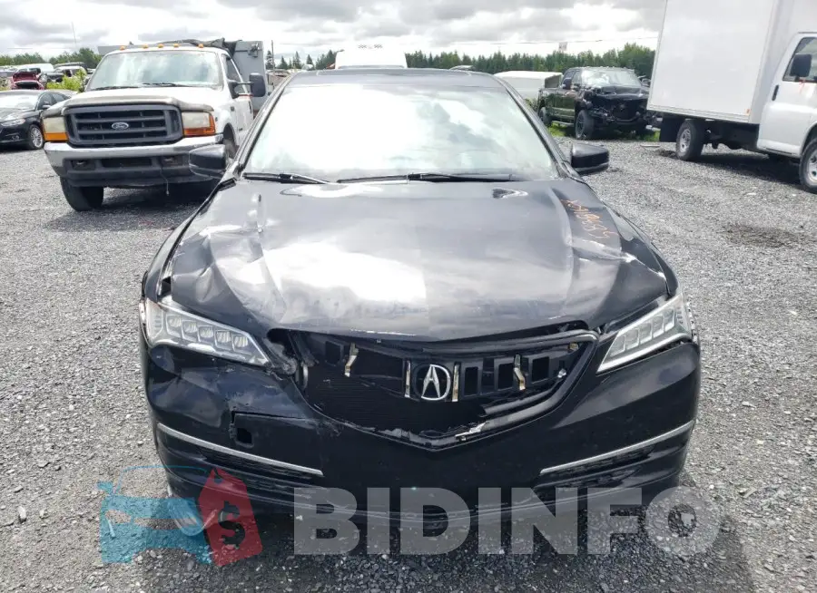 19UUB3F58FA800971 Photo# 5