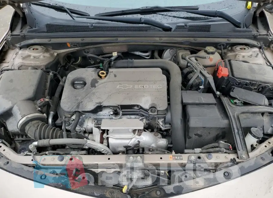 1G1ZD5ST6JF134311 Photo# 11