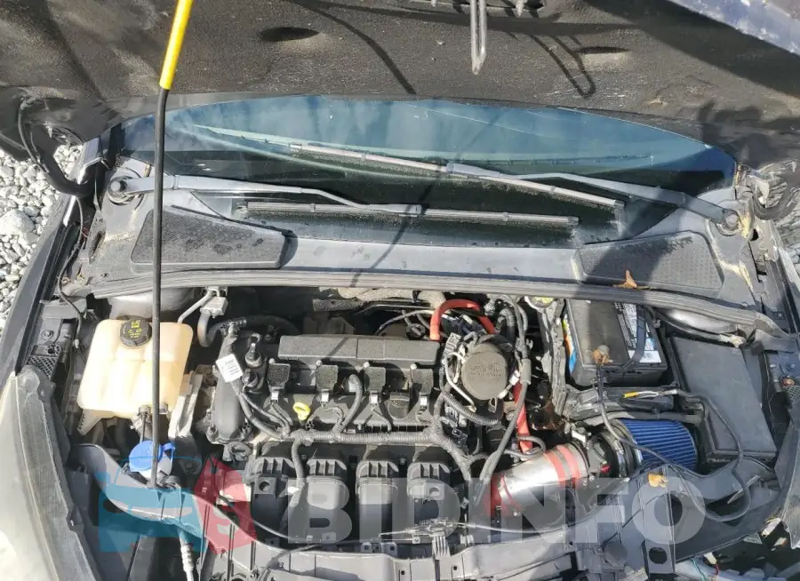 1FADP3E25GL219916 Photo# 11