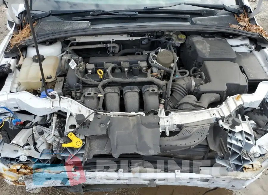 1FADP3F23GL245316 Photo# 11