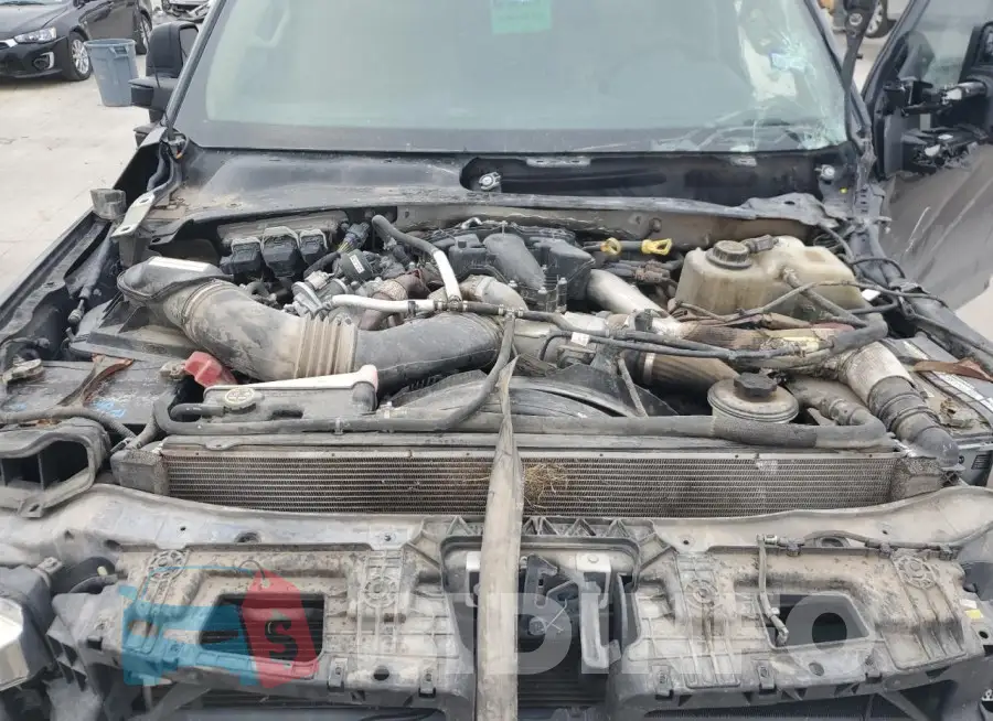 1FT8W3DT1HEF35182 Photo# 11