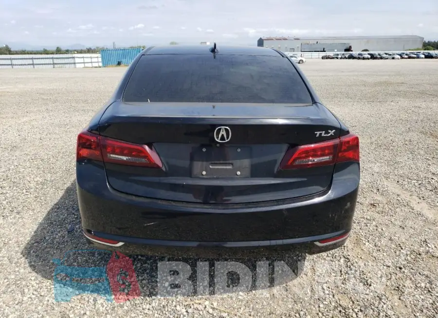 19UUB2F30FA006443 Photo# 6
