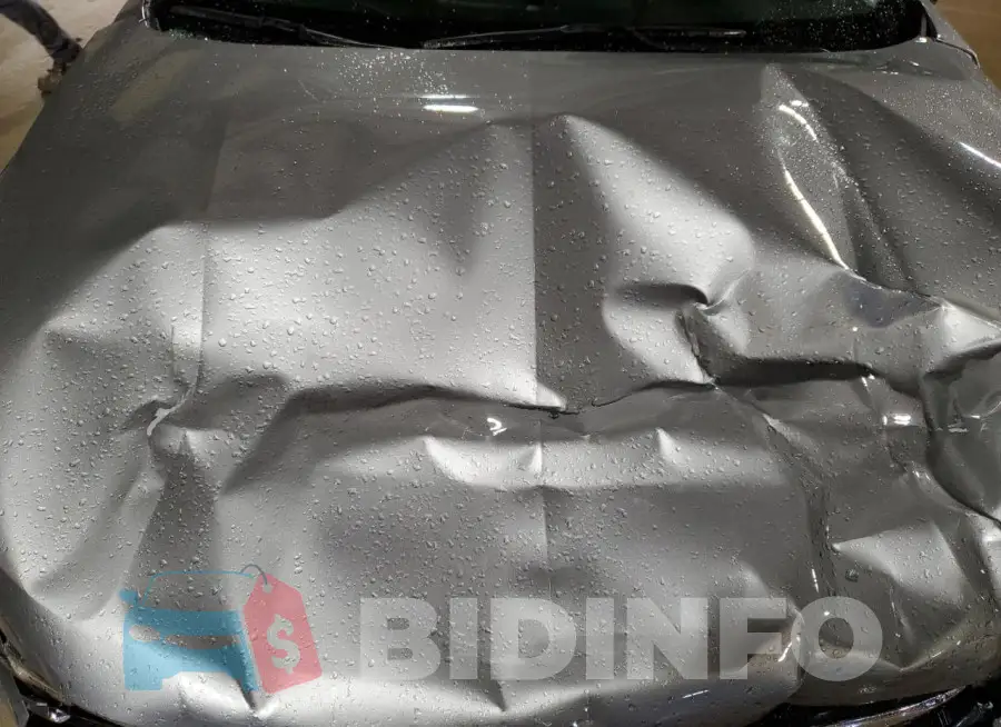 LRBFZNR42PD036356 Photo# 12
