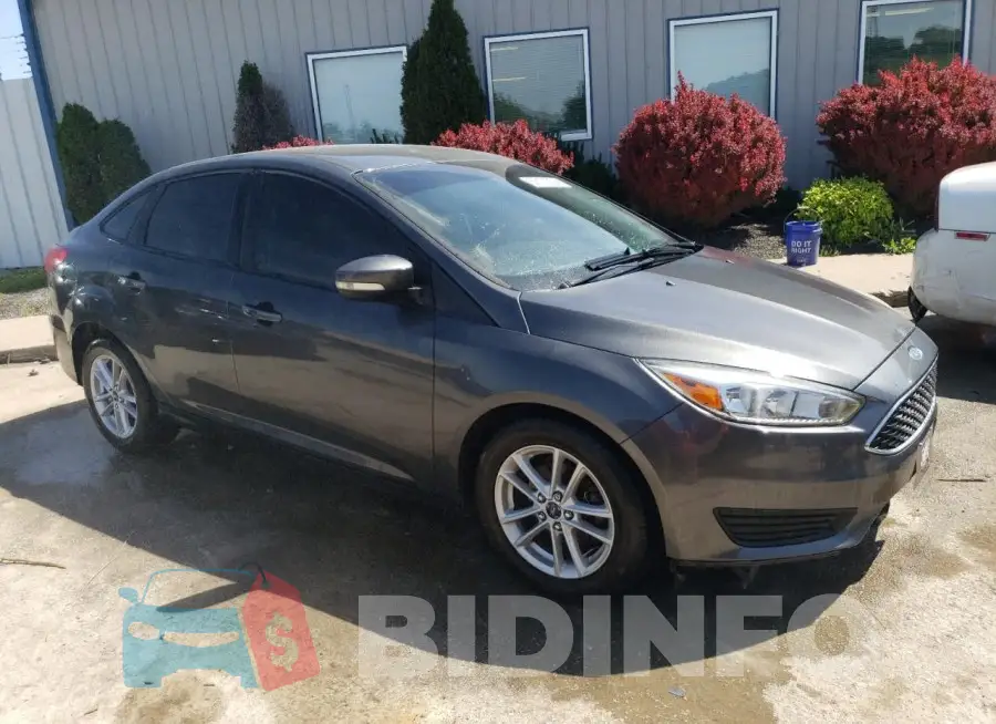 1FADP3F2XHL315542 Photo# 4