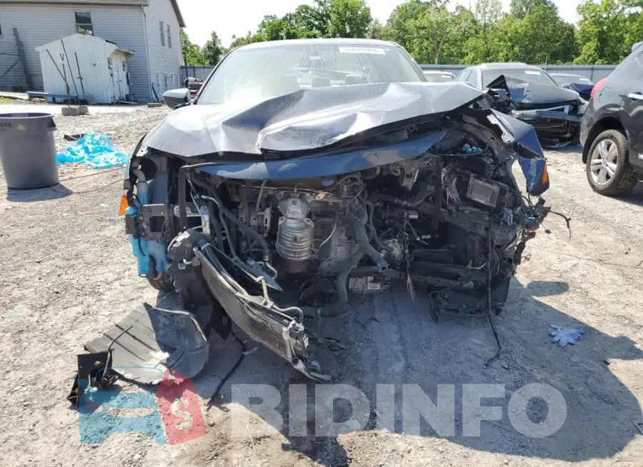 19XFC2F56GE024059 Photo# 5