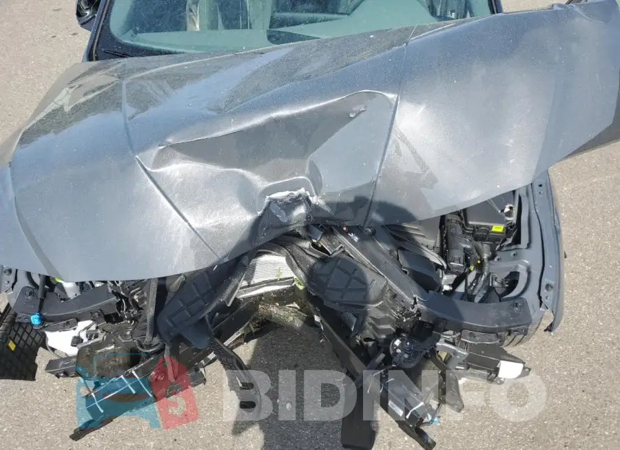 KMHLM4DG9RU702061 Photo# 11