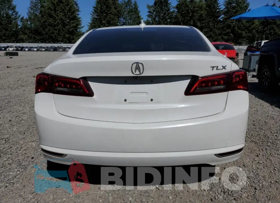 19UUB1F59FA801521 Photo# 6