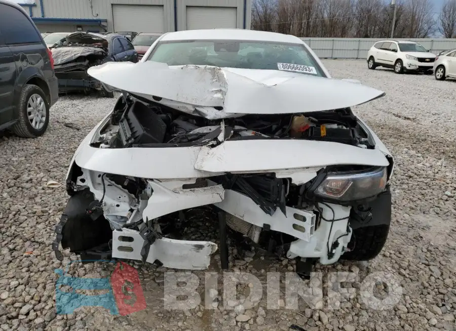 1G1ZF5SU8JF243601 Photo# 5