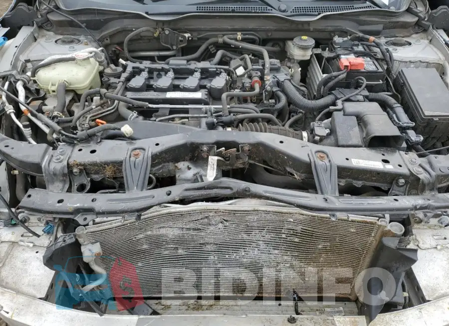 19XFC1F3XGE211619 Photo# 11