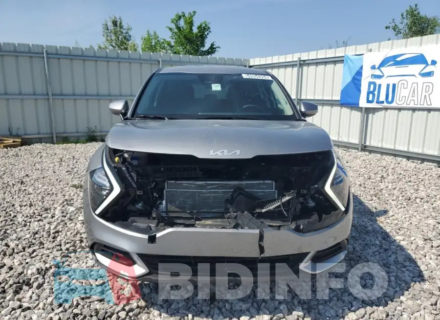 KNDPU3AFXP7135138 Photo# 5