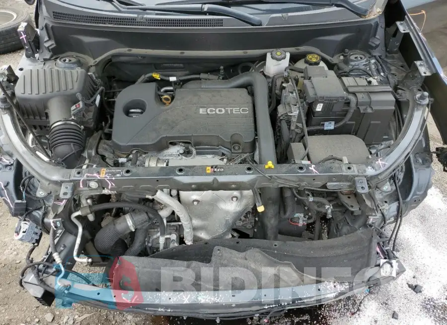 2GNAXTEV1L6203116 Photo# 12