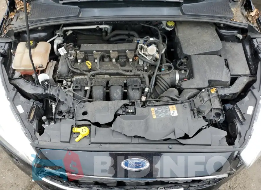 1FADP3E21GL382515 Photo# 11