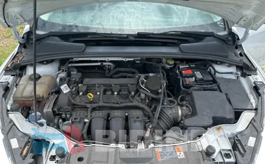 1FADP3K22FL322021 Photo# 7