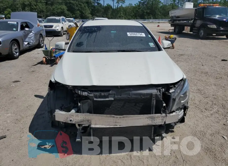 WDDSJ4EB5FN162313 Photo# 5