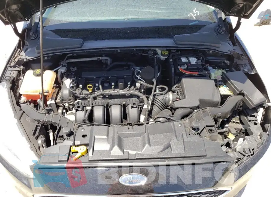 1FADP3E26GL281602 Photo# 11