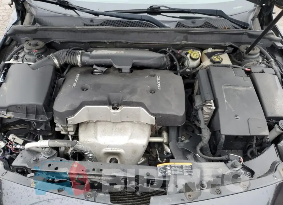 1G11F5SL6FF172698 Photo# 11