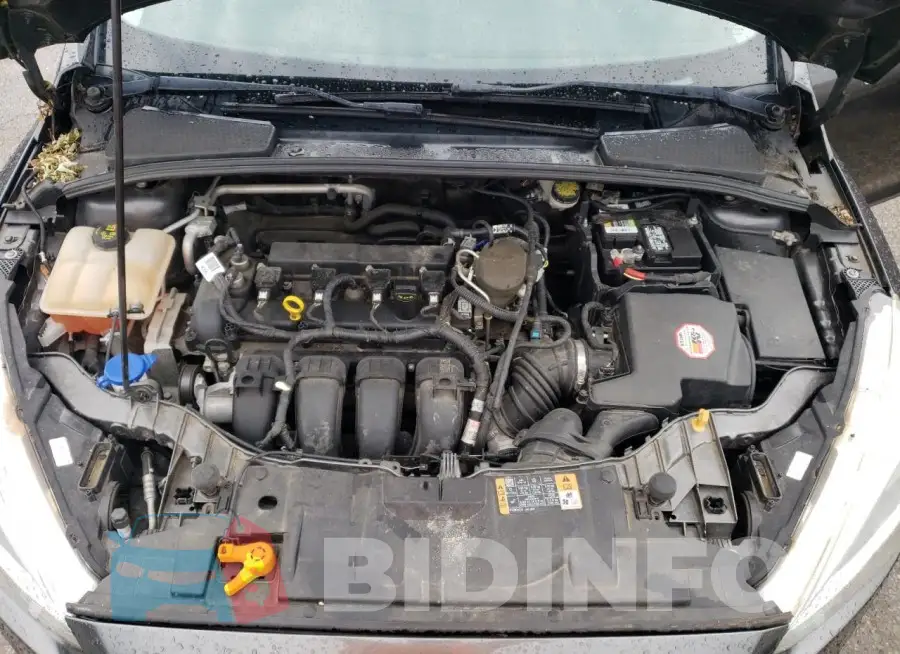 1FADP3F22GL281904 Photo# 11