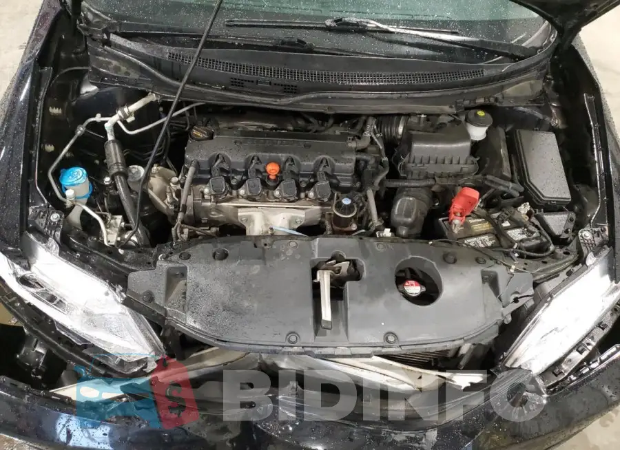 19XFB2F85FE000444 Photo# 11