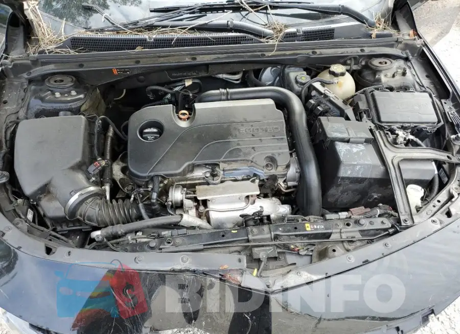 1G1ZD5ST5KF162117 Photo# 11