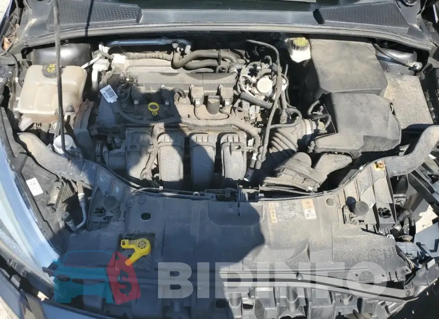 1FADP3F25HL218880 Photo# 11