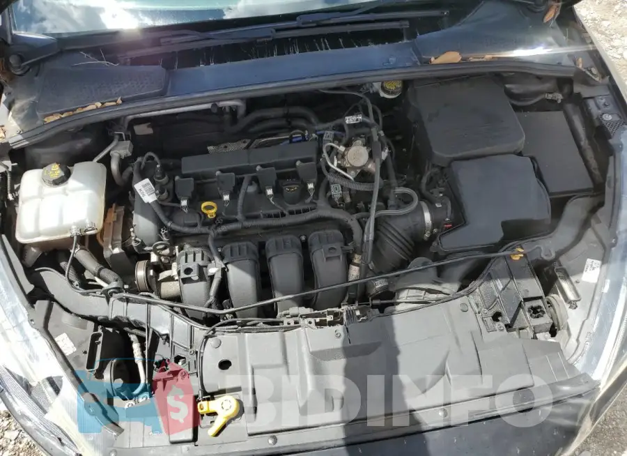 1FADP3F26GL367474 Photo# 11