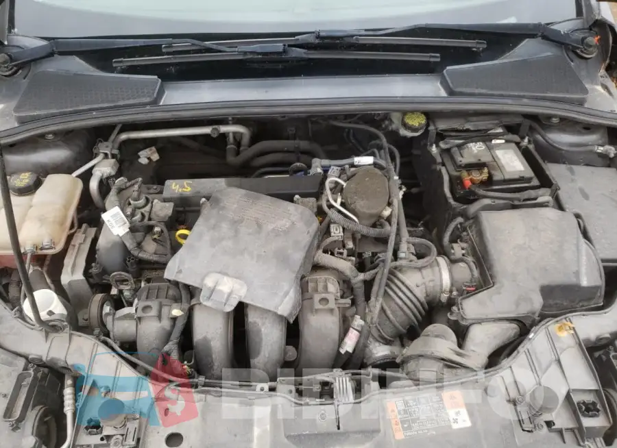 1FADP3F2XFL299906 Photo# 11