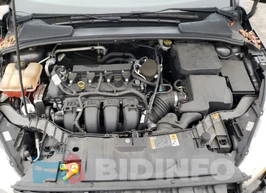 1FADP3K23FL288381 Photo# 11