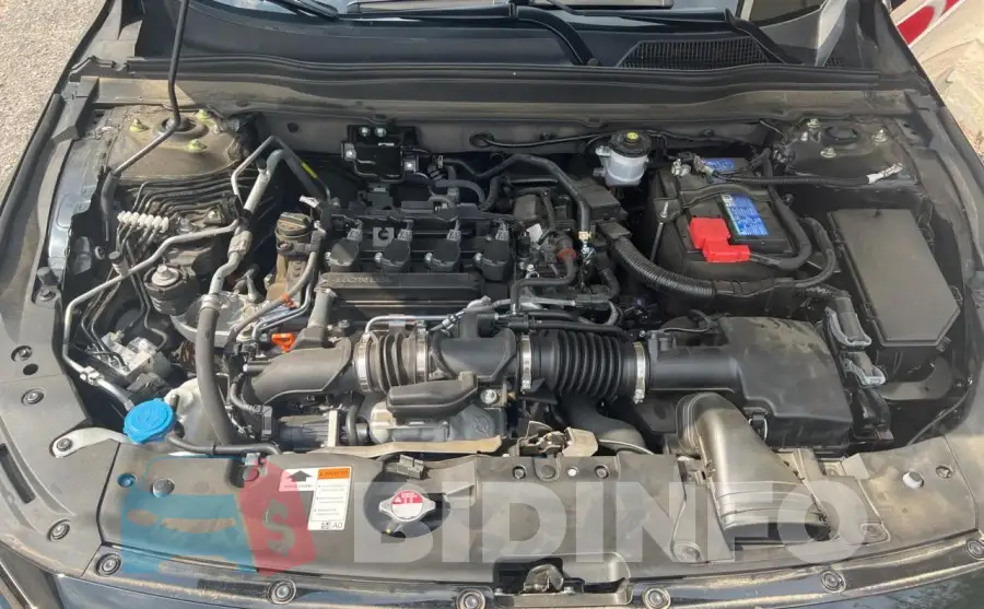 1HGCV1F35NA117971 Photo# 7