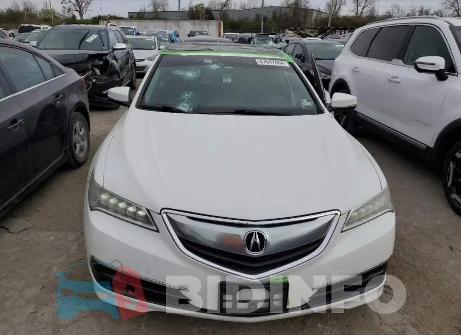 19UUB3F53FA000224 Photo# 5