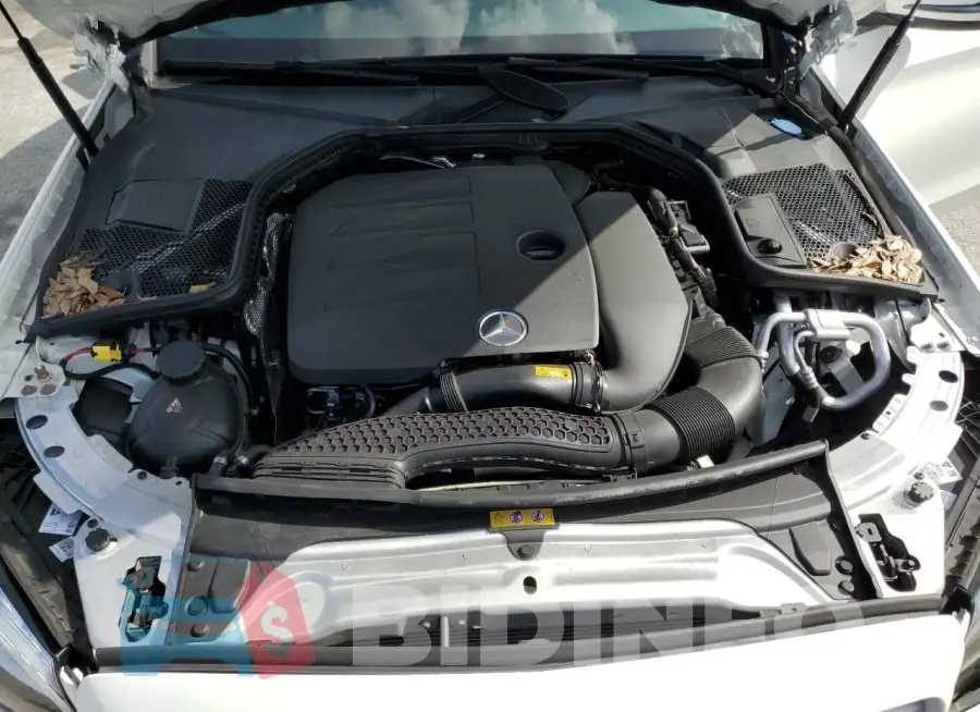 WDDWF8DB0LR527688 Photo# 11